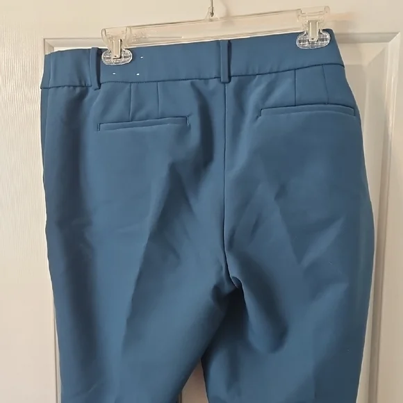 Talbots Blue Ankle Slacks.         Size 14 - Picture 3 of 7